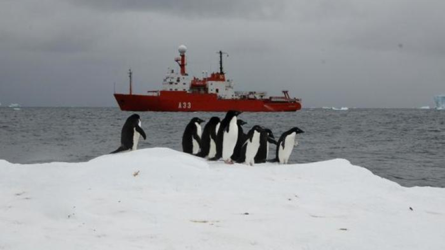 Llega  el Covid-19 a la Antártida